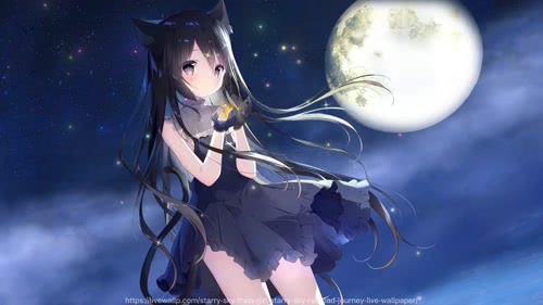 星空列车与白的旅行_诺瓦