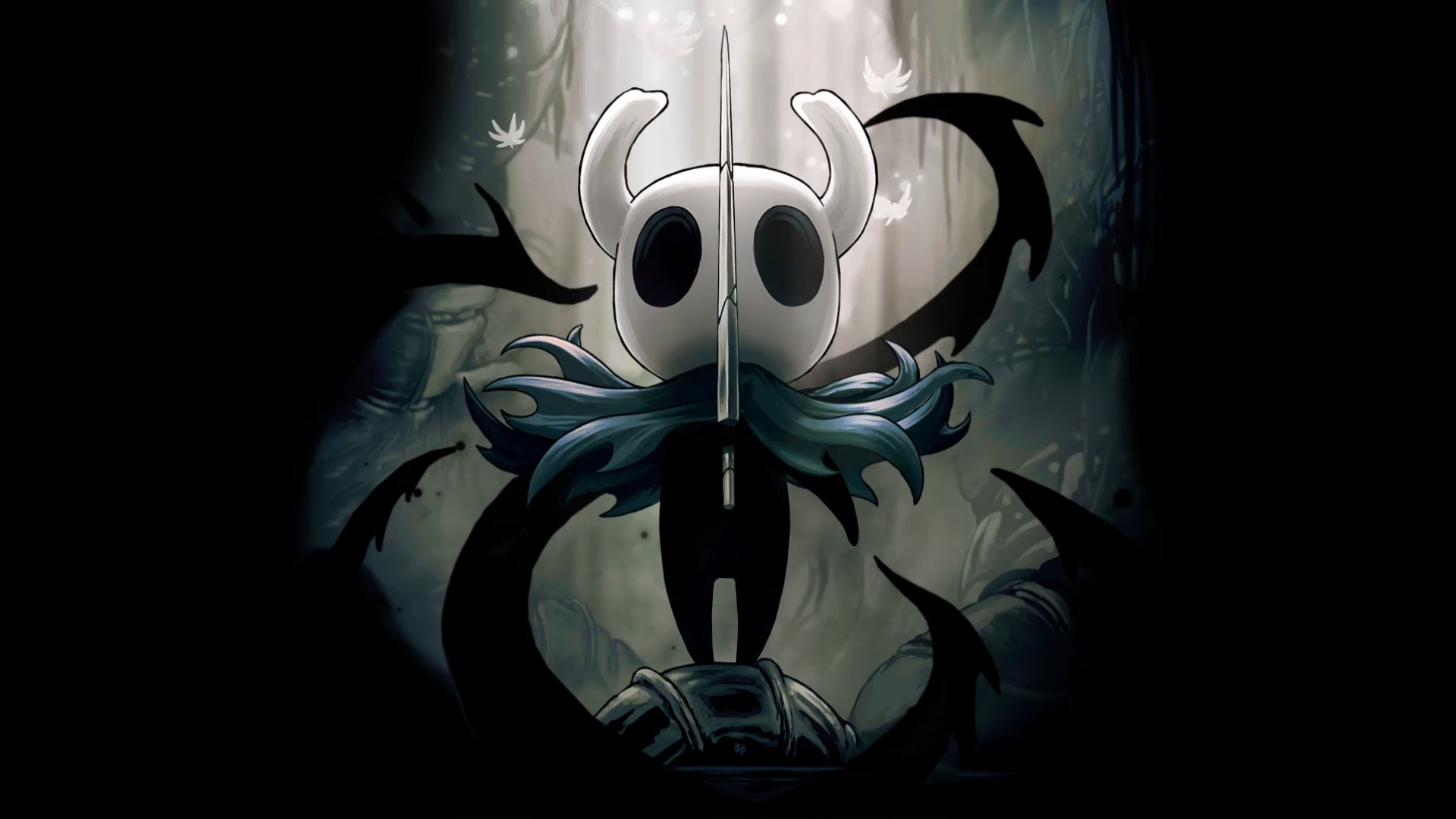 Hollow knight voidheart