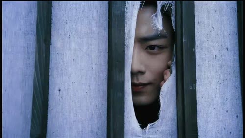 肖战女孩的最爱