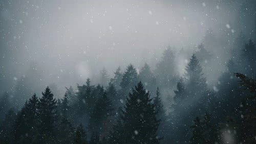Snowfall in Forest FREE Motion Background Animatio