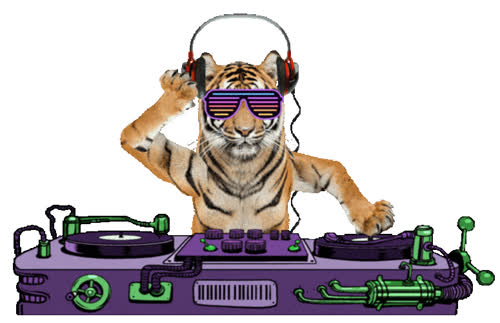 DJ CAT
