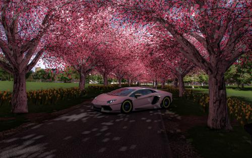 地平线4.樱花小道