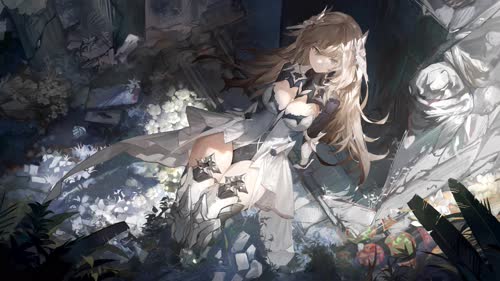 抖音老猫桌面美化