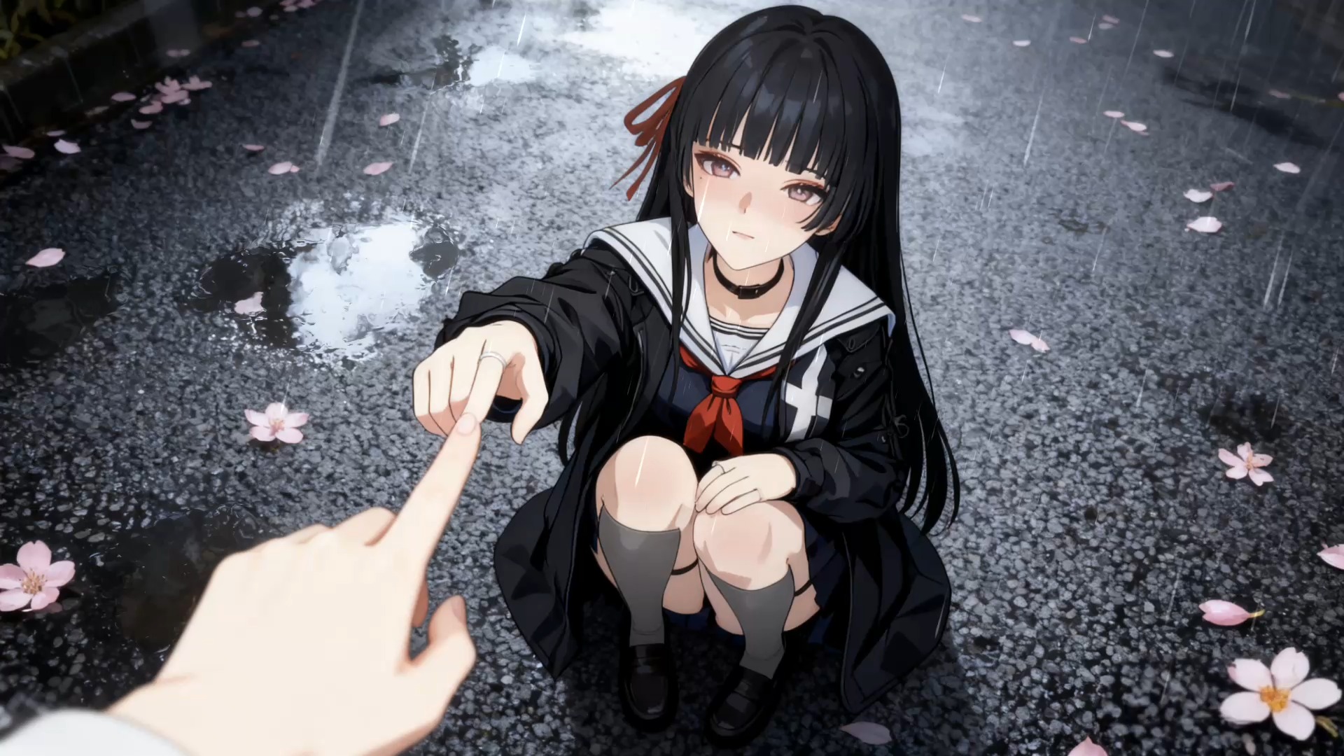 老猫