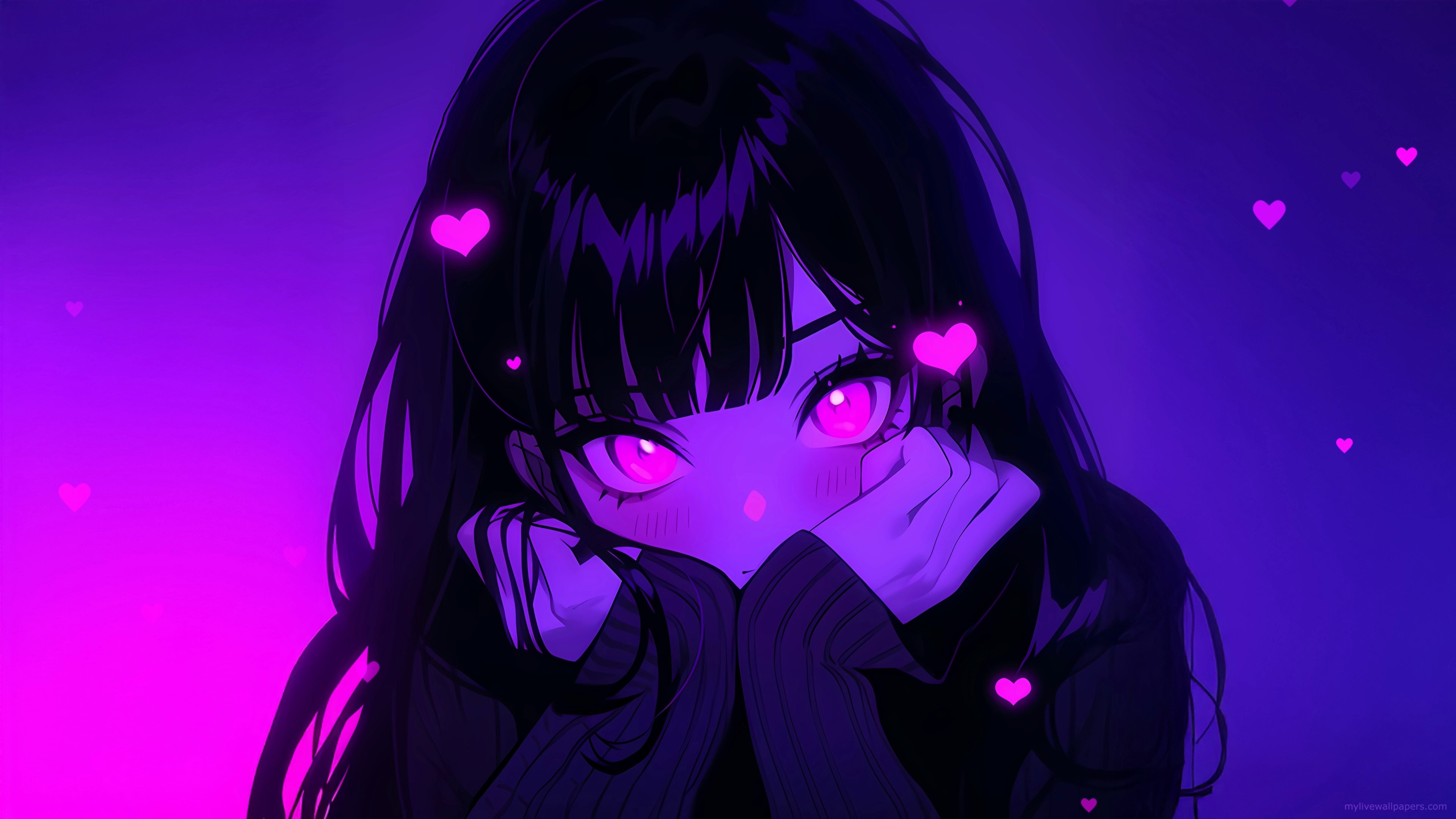 老猫