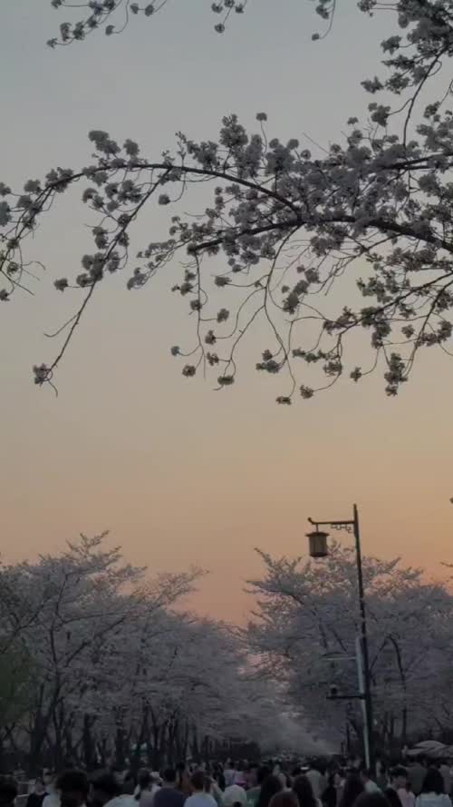 与你邂逅（竖屏）