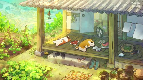 Doggie Corgi 柯基和小伙伴的日常 乘凉