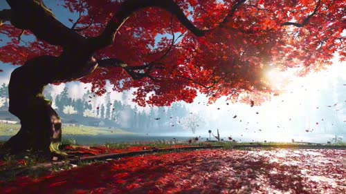 风景-抖音-桌面星球