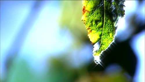 windows vista原版动态壁纸  3