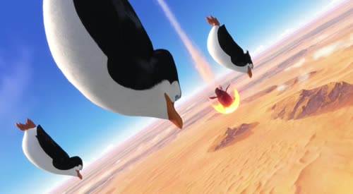 马达加斯加的企鹅