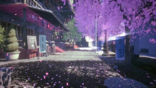 街道，樱花，日本