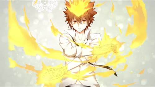 Tsunayoshi Sawada Katekyo Hitman Reborn! 