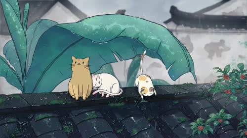 檐下听雨，三猫闲卧-tt