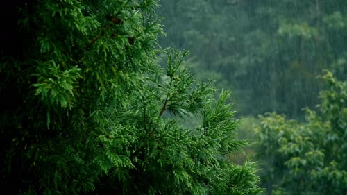 空山新雨-tt