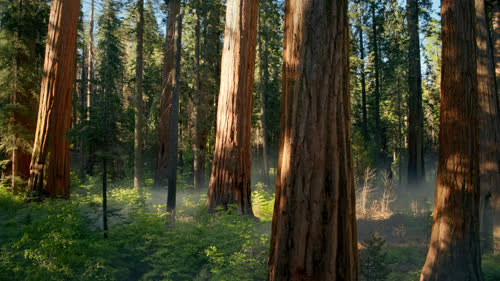 macOS Sequoia