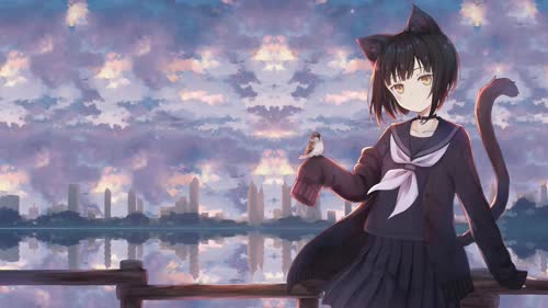 neko 4k