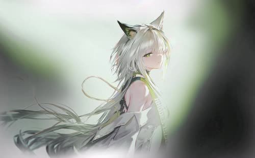 凯尔希