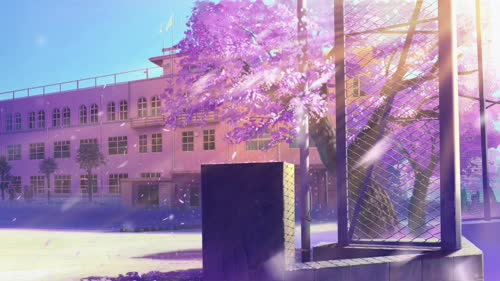 樱花树下的街道