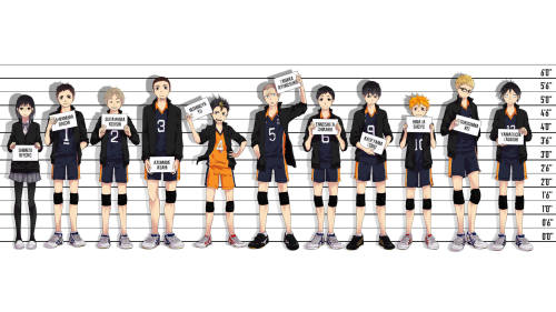 排球少年 乌野身高