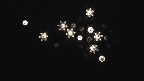 发光的永生花朵