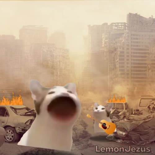 i dont wanna set the world on fire but its popcat