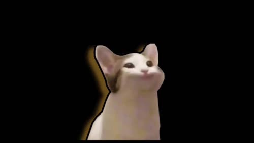 yt5s Pop Cat Bohemian Rhapsody (Full Music Video)(720p)