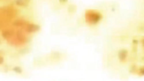 yt5s Pop Cat Don't Stop Me Now(720p)