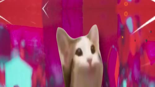 pop cat dont stop me now short