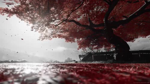 对马岛之魂之枫叶