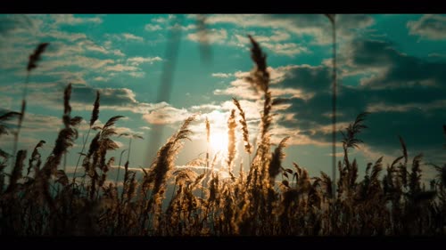 Pixabay上的免费视频