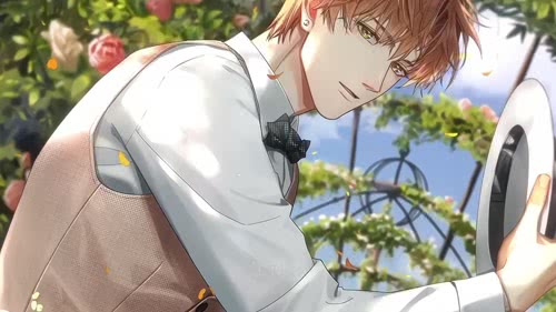 刷到那就再结一次婚吧