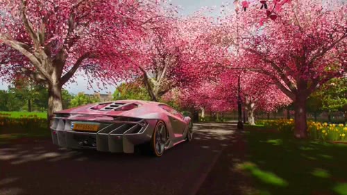 地平线4-粉樱花