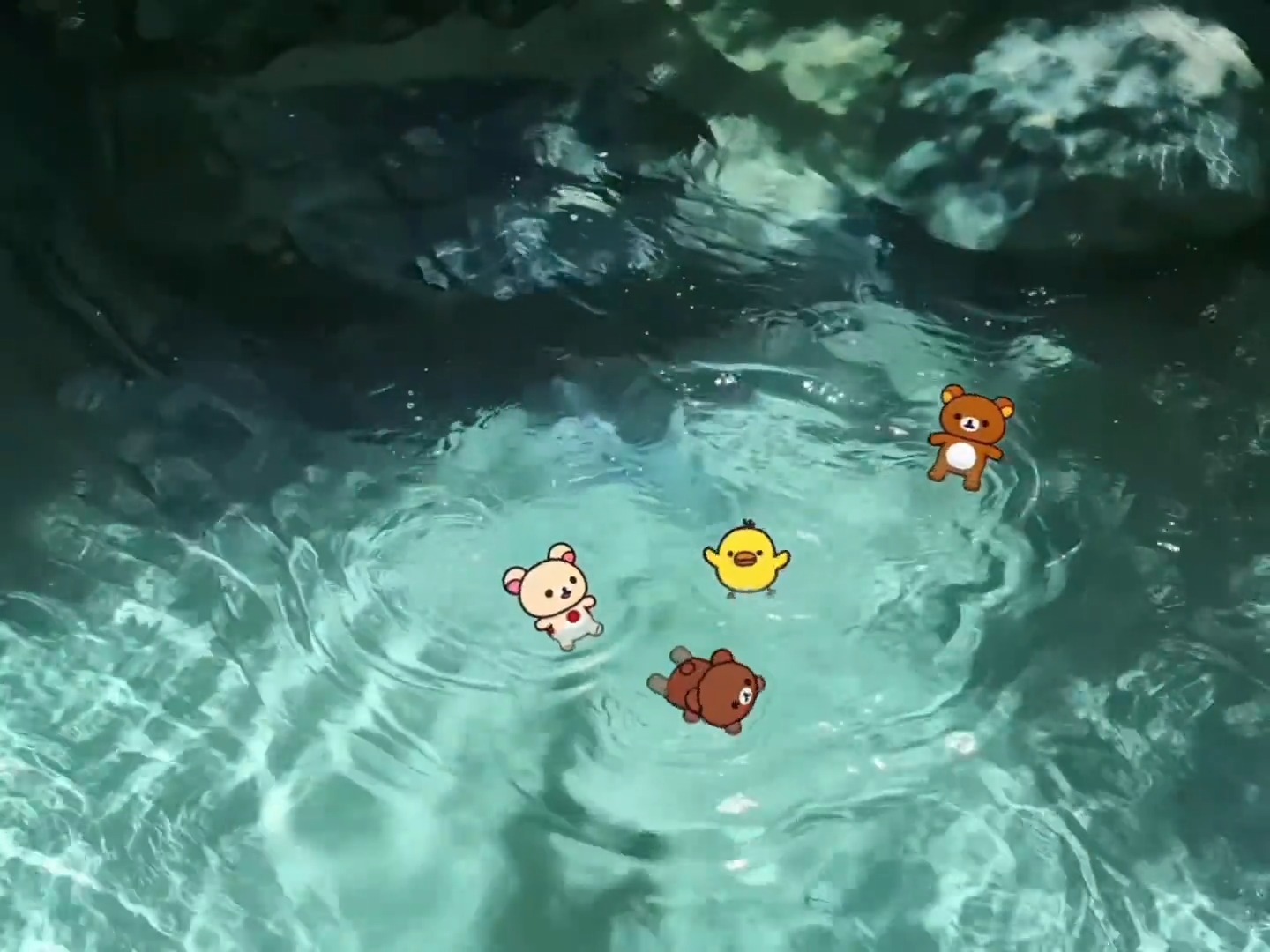 轻松熊游泳