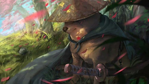 Samurai DOGE live wallpaper