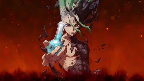 Dr. Stone