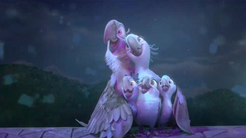 布鲁珠儿和孩子们正在看烟花