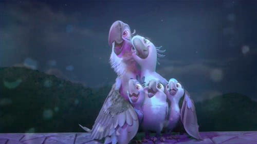 布鲁珠儿和孩子们正在看烟花