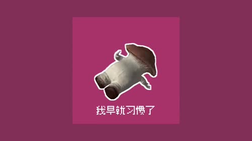 【MV】tantrum - 葛駄夜音