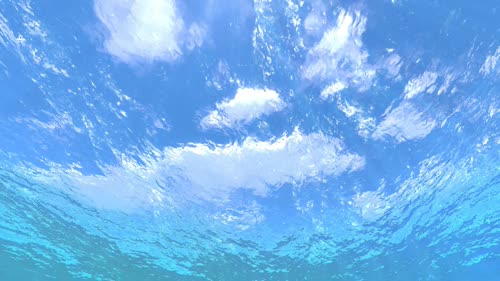 Underwater HD(4k)