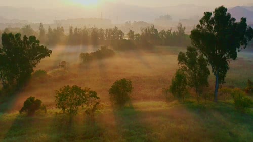 南生圍. 冬日朝霧 1080P