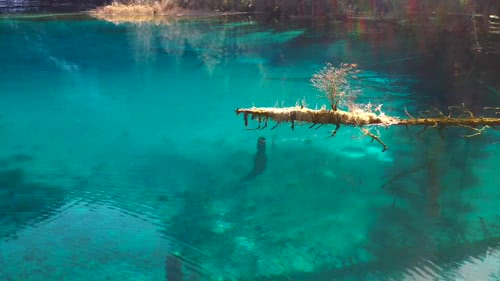 九寨溝 航拍 大彊 mavic 1080P ，冬天童話_2.