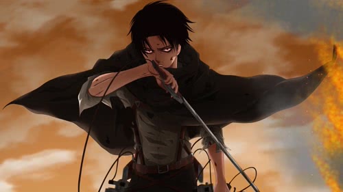 Levi Ackerman (Atack On Titan)