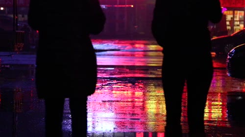 Rainy Neon Night