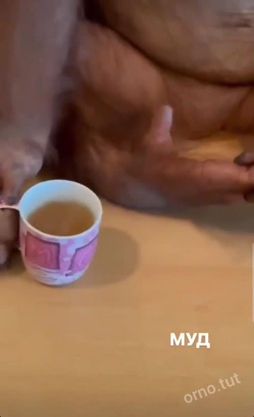 Tea