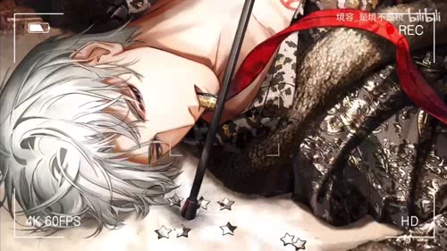 查里苏live2d（境容）