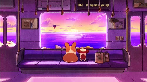 柯基 意外的相遇