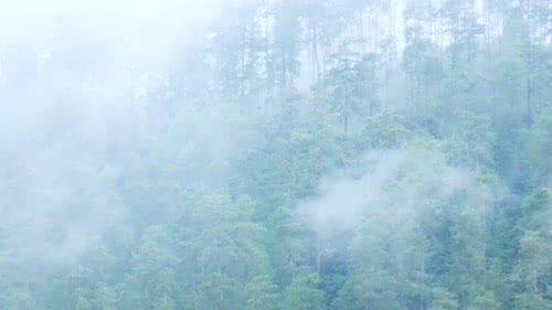 Pancot - Tawangmangu View