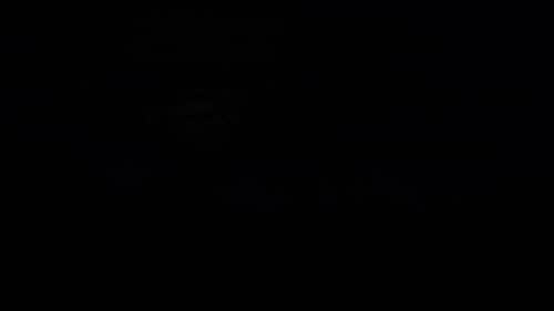 新西兰 大自然 美景！