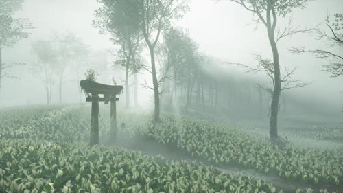 对马岛之魂 纯风景5