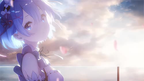 抖音-狐狸（桌面美化）